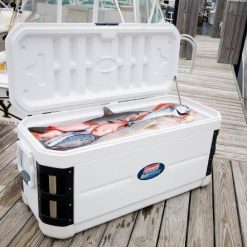 Alternative view of Coleman 200-Quart Optimaxx Cooler